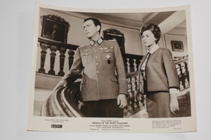 Miracle of the White Stallions 1962 Glossy Still Photo Walt Disney Robert Taylor