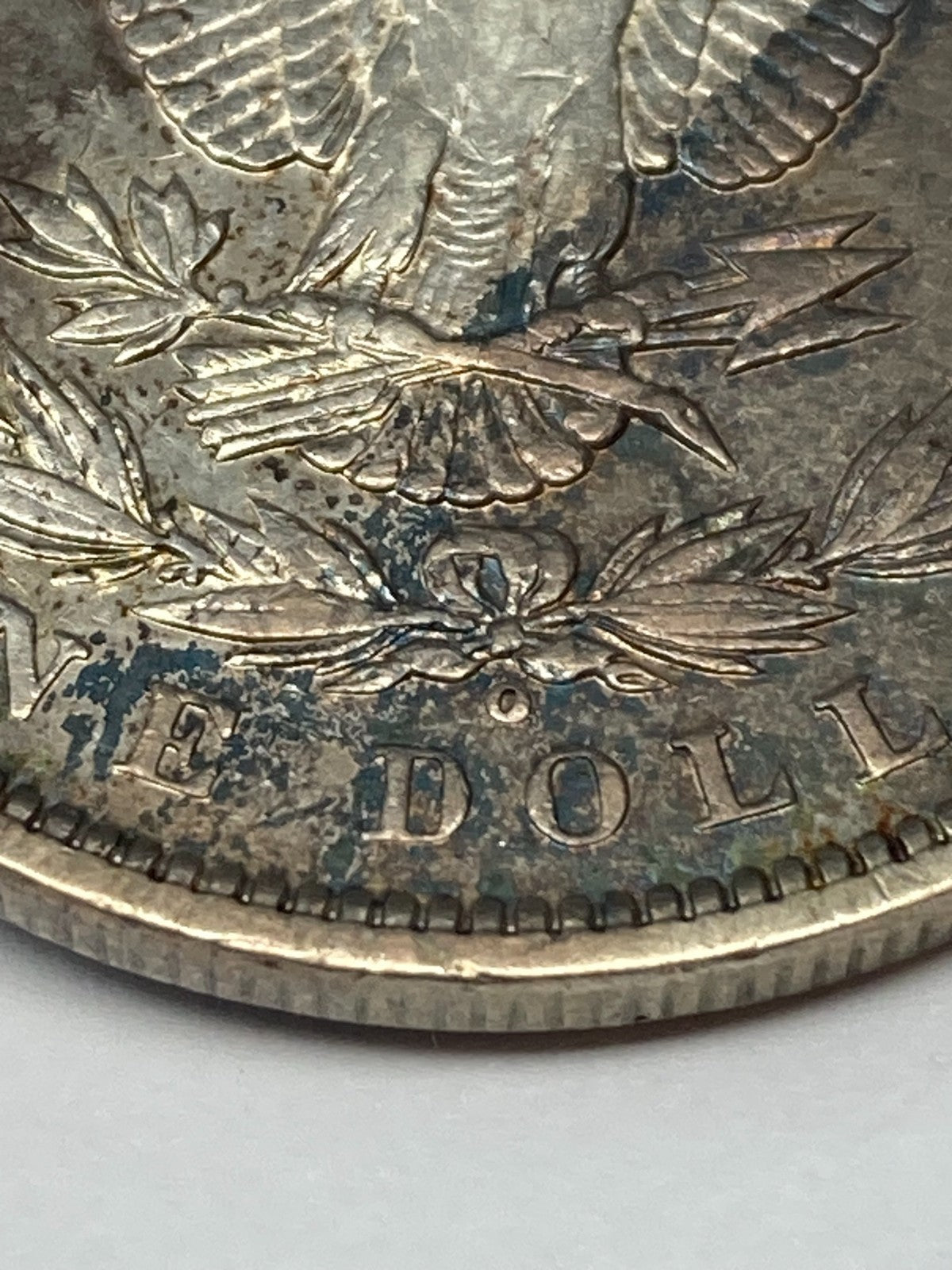Image #8