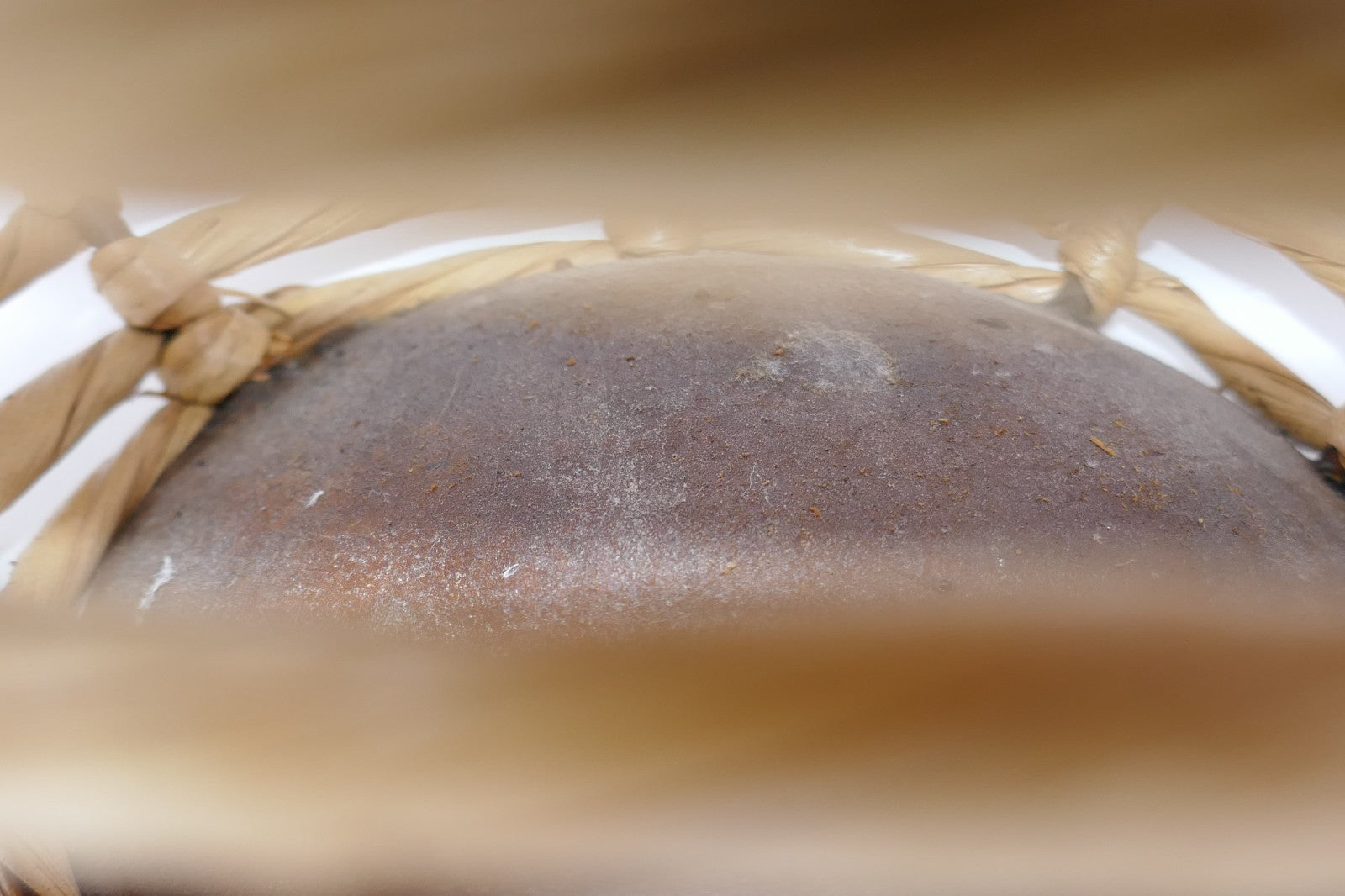 Image #13
