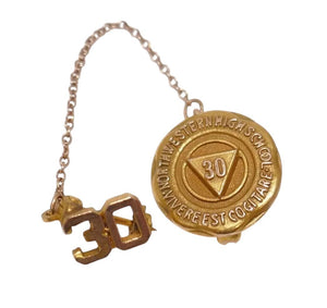 Northwestern High School 30 Vivere Est Cogitare 10k Gold Pin