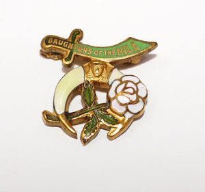 Masonic Daughters Of The Nile DOFN Shriners Enamel Brooch Pin