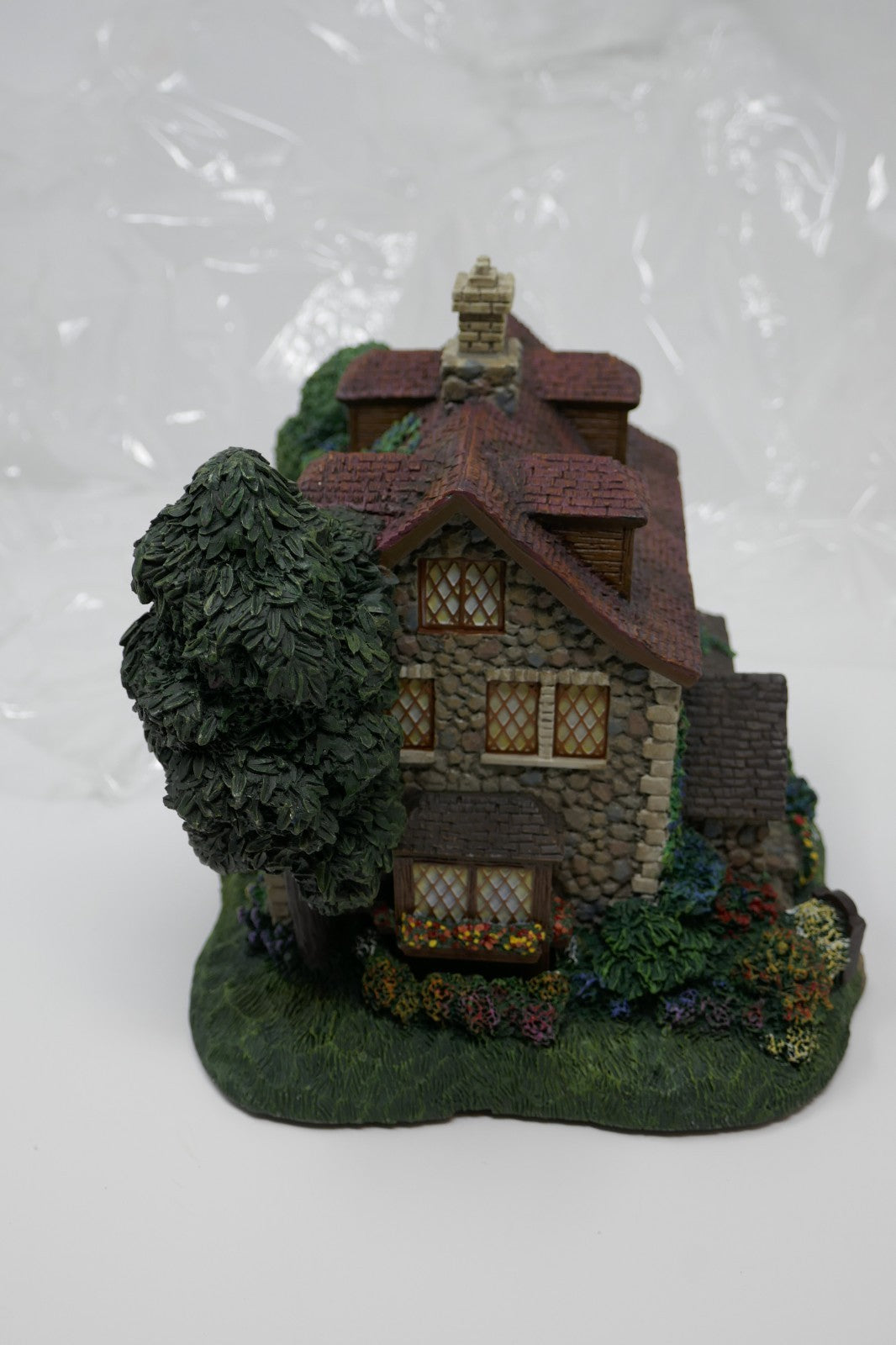 Image #5