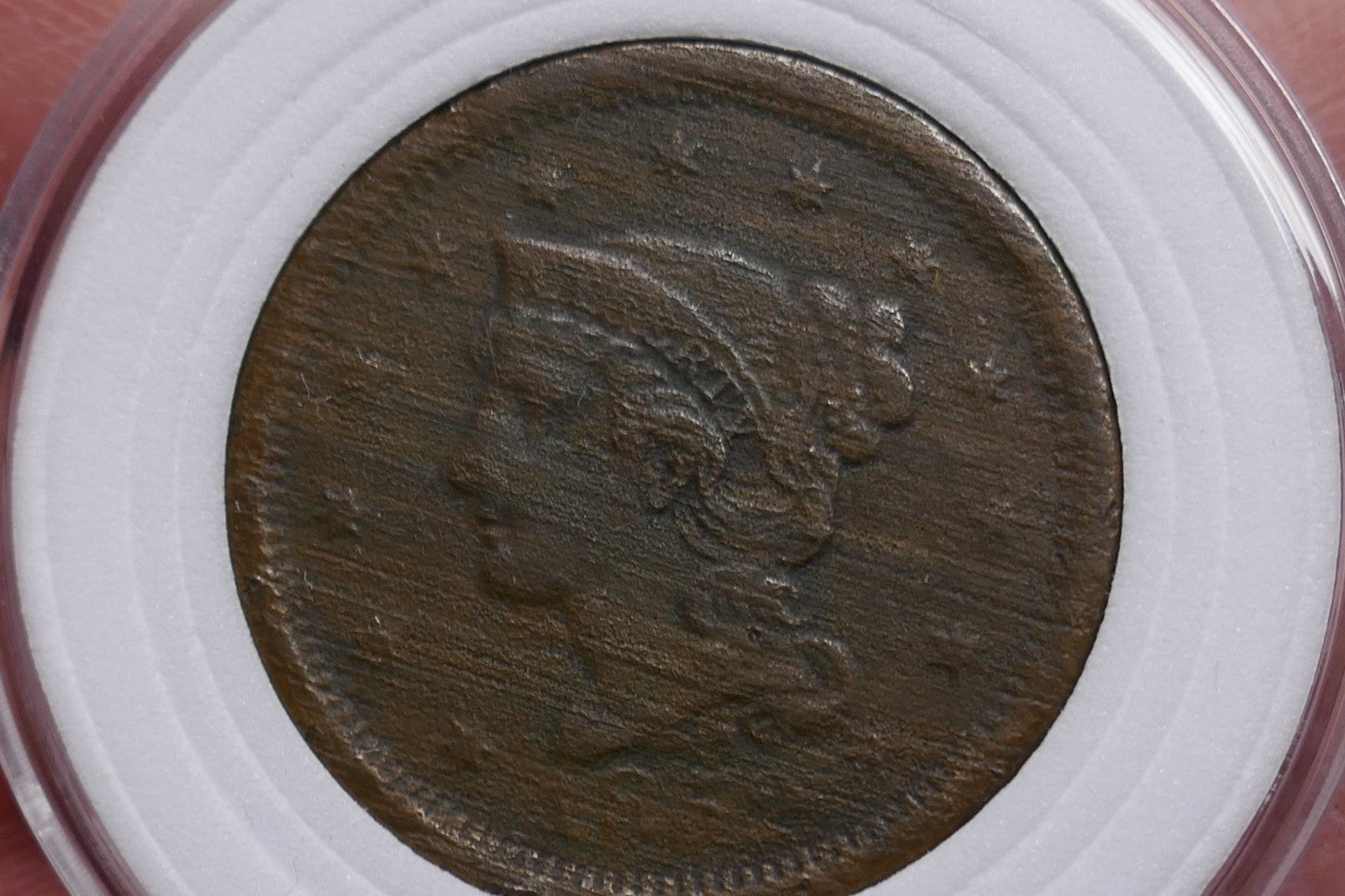 Image #6