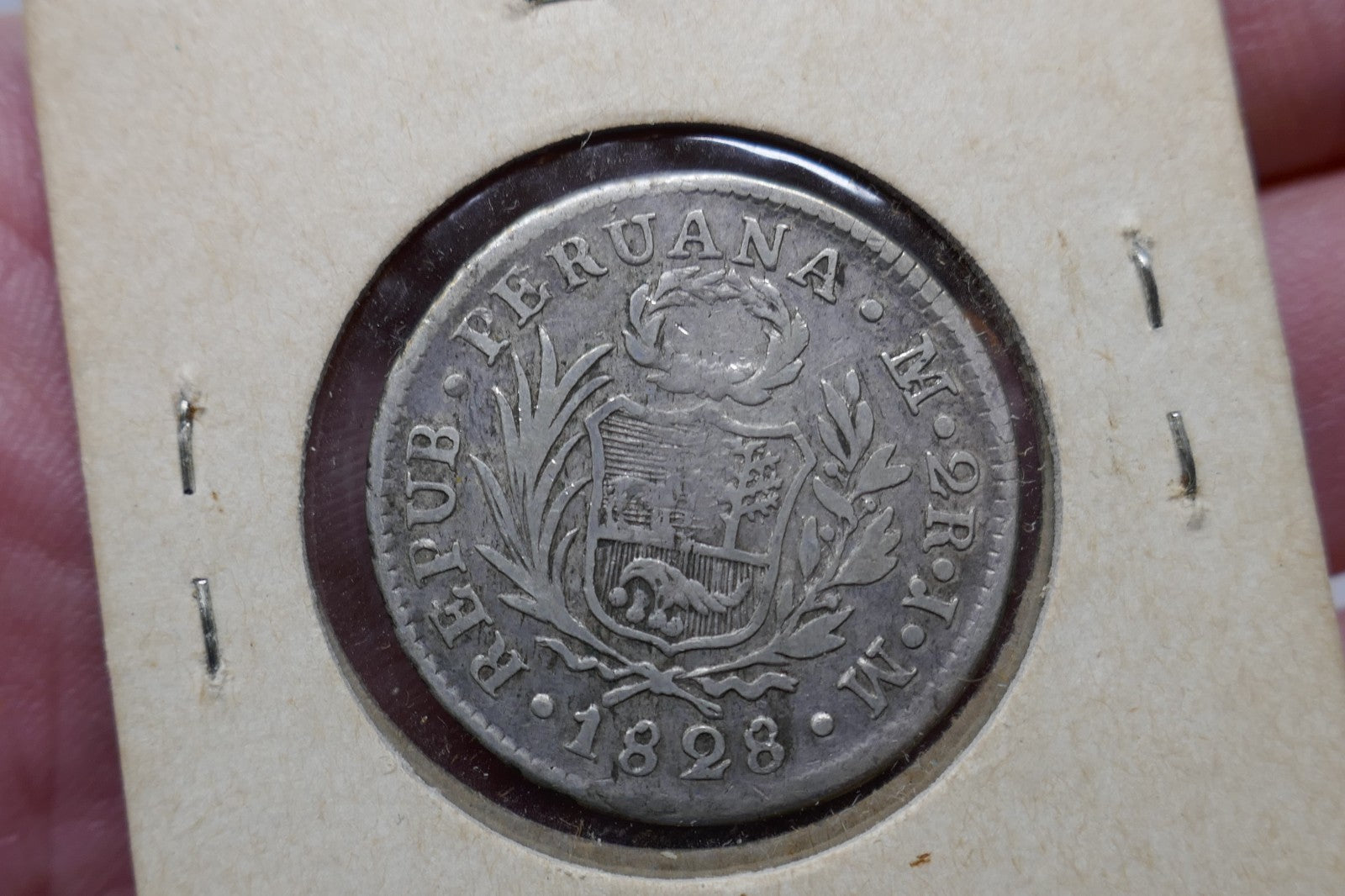 Image #4