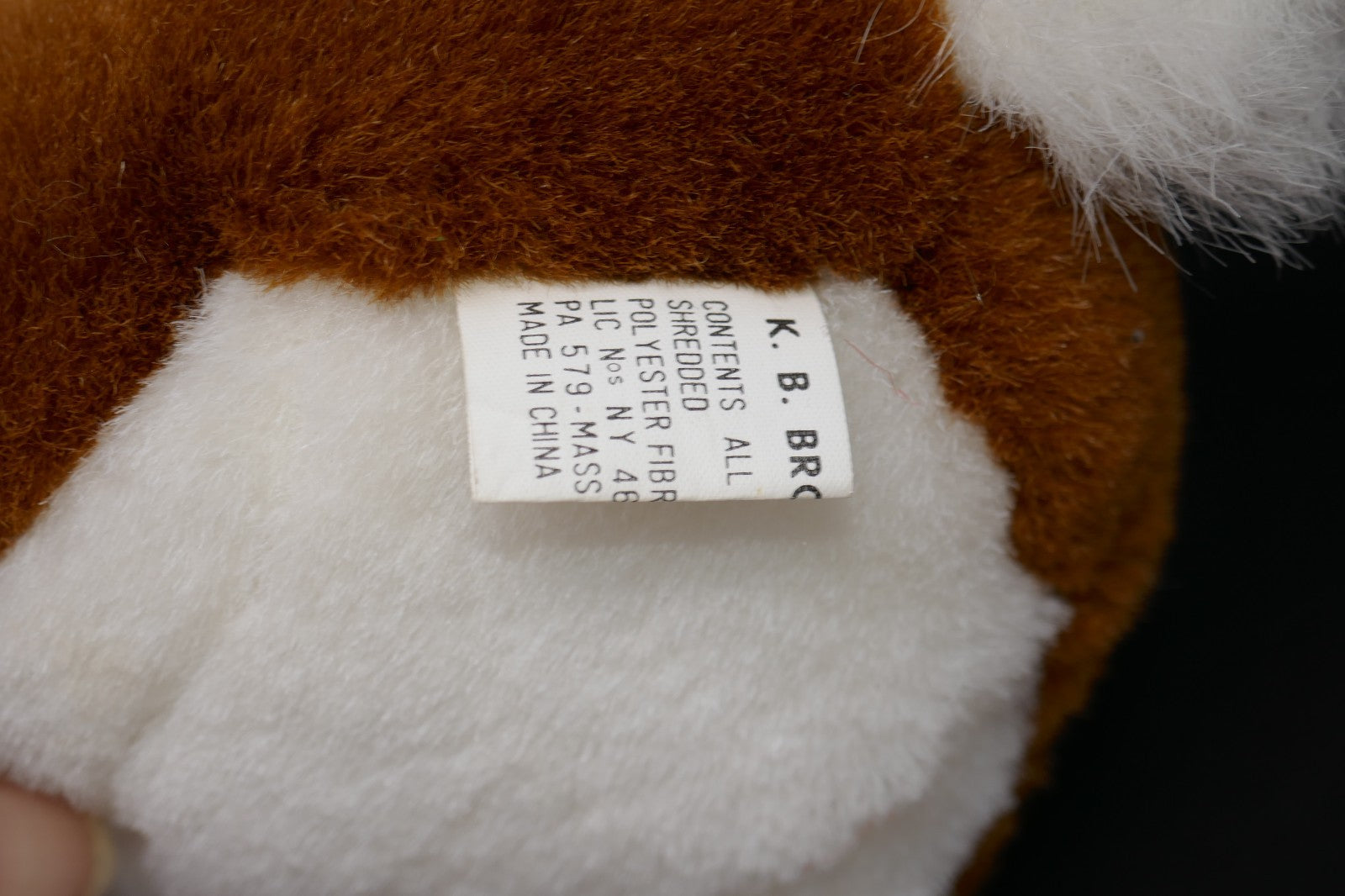 Image #8