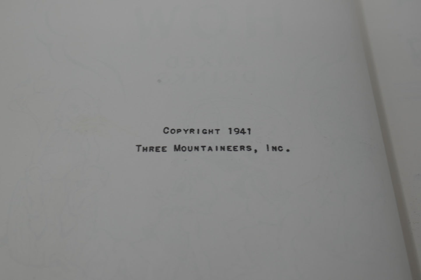 Image #5