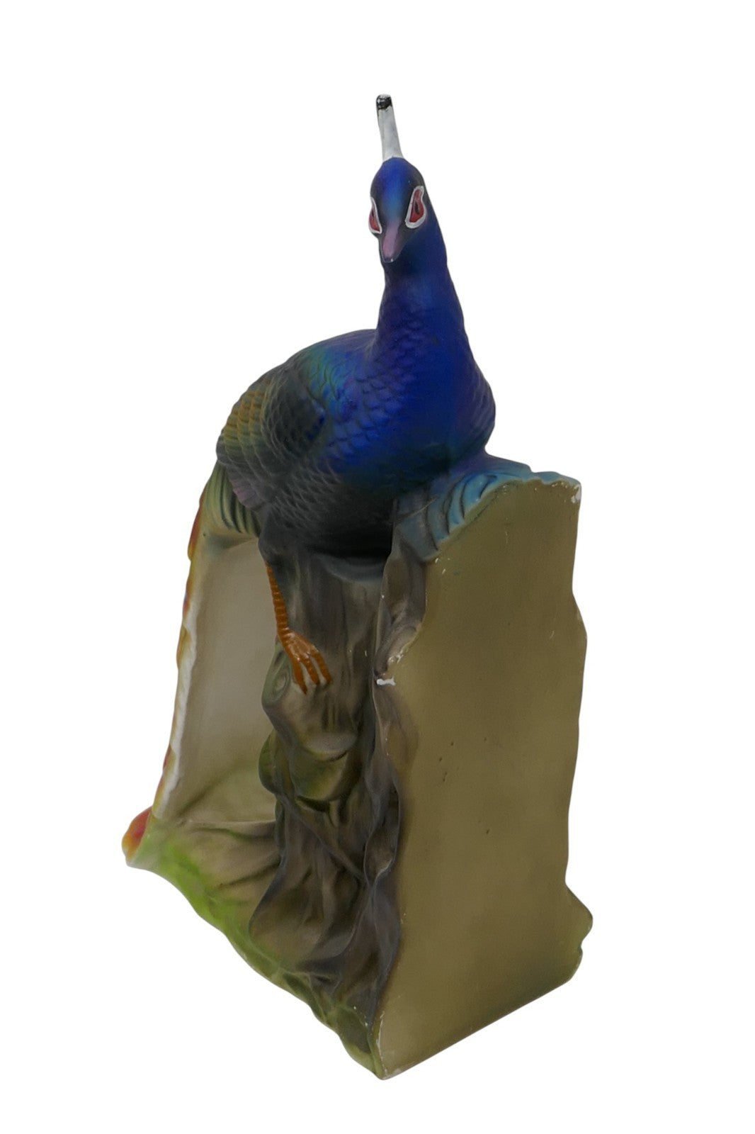 Image #7