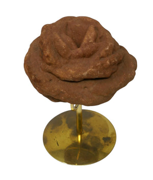 Barite Rosette Flower Shaped Rose Rock Crystal Oklahoma State Rock