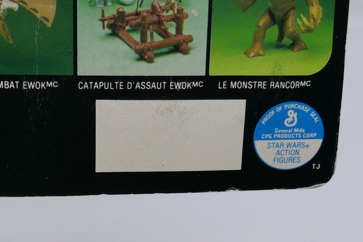Image #13