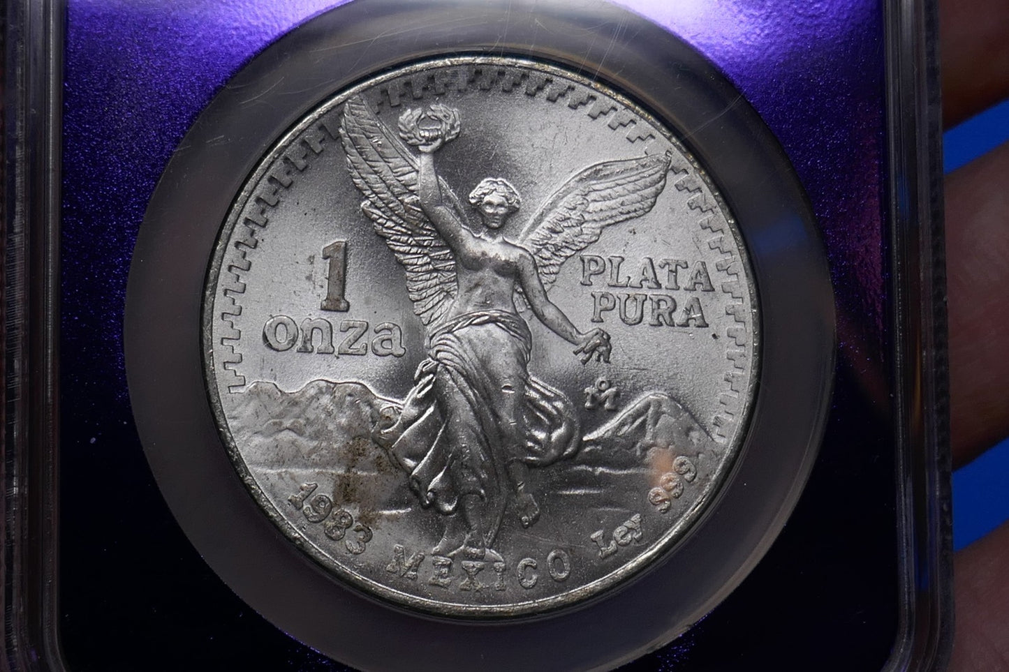 Image #4