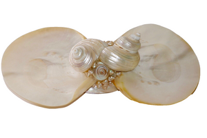 Sea Shell Folk Art Display Decoration Beach Ocean Decor RARE