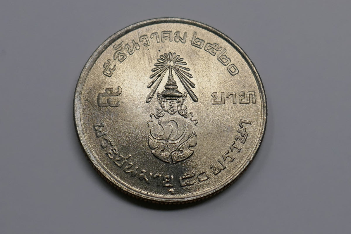 Image #5