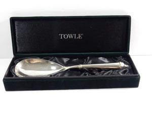 Toole Copenhagen Silver-plated Serving Spoon in Green Velvet Box