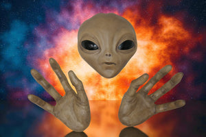 Descriptive image text