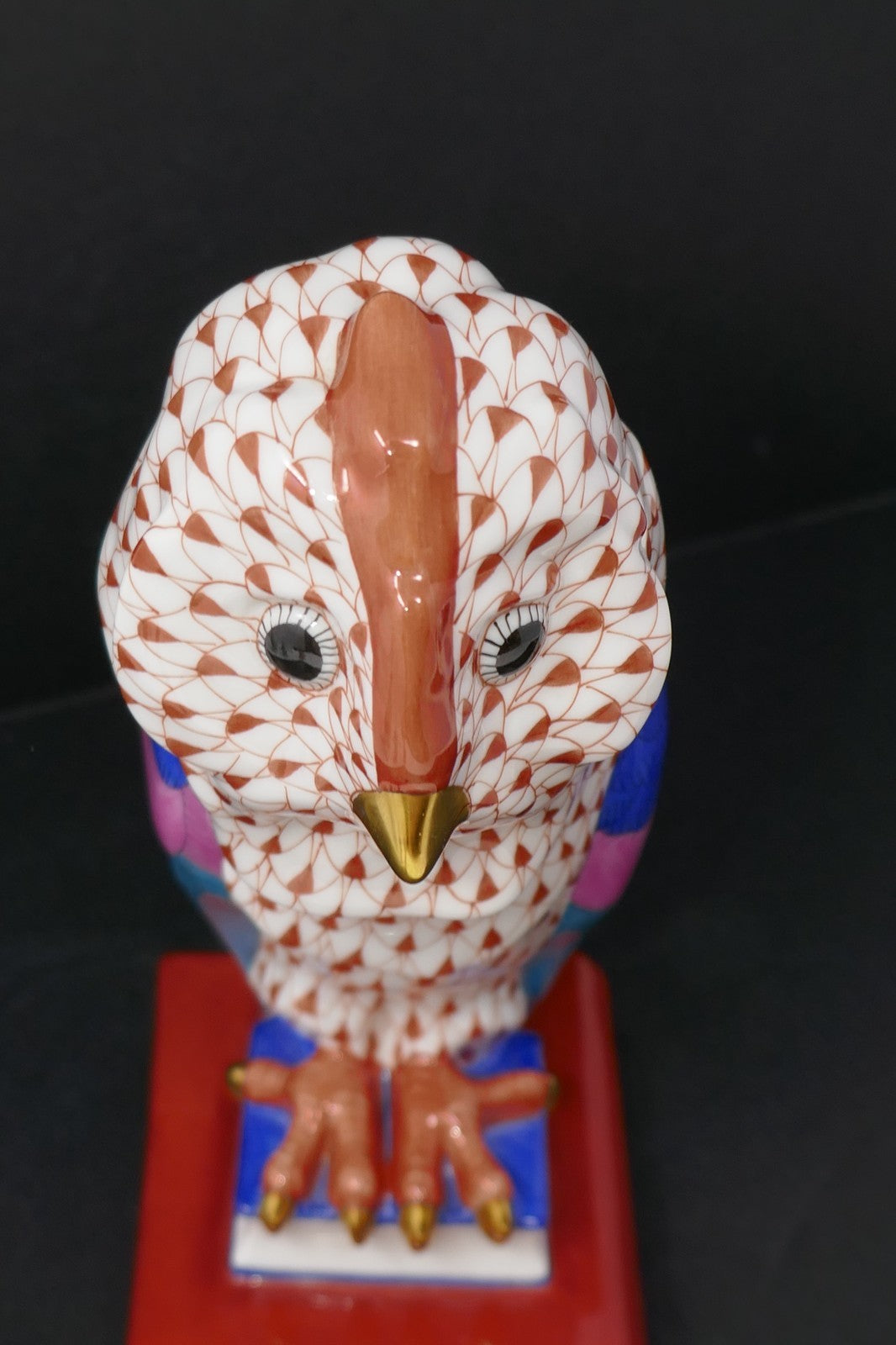 Image #11