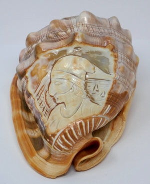Carved Cameo Helmet Conch Shell Seashell Masquerade Masked Man