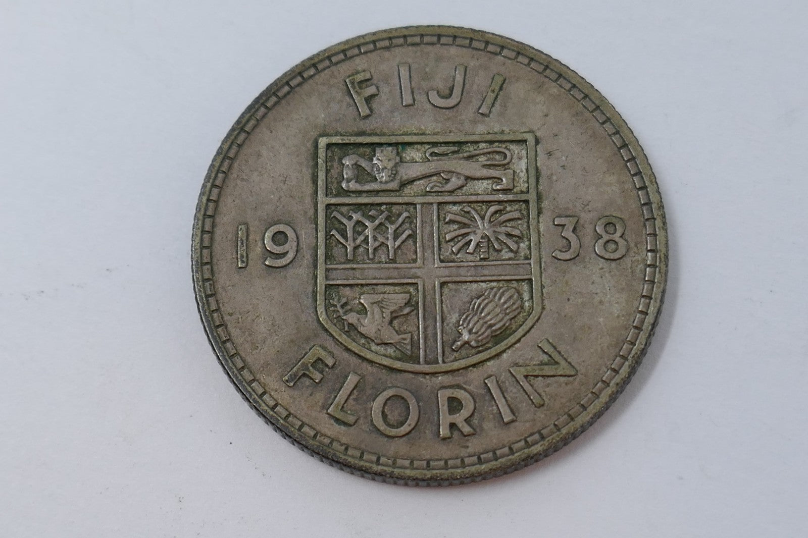 Image #5