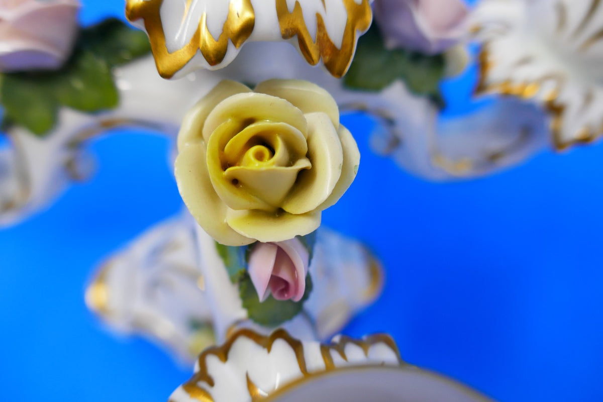 Image #12