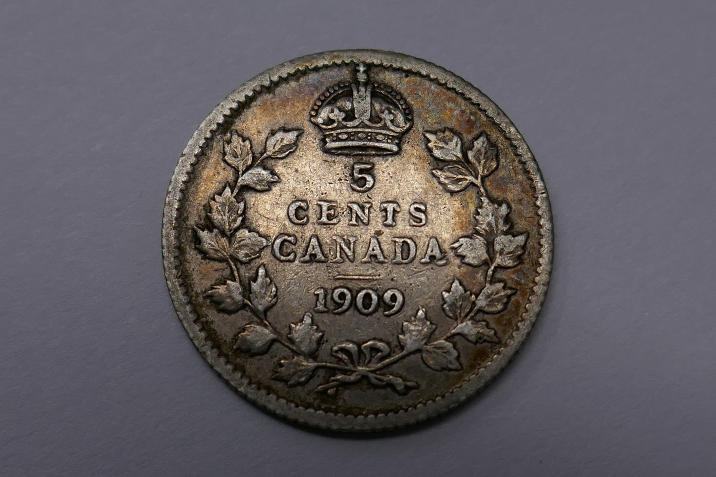 Image #3